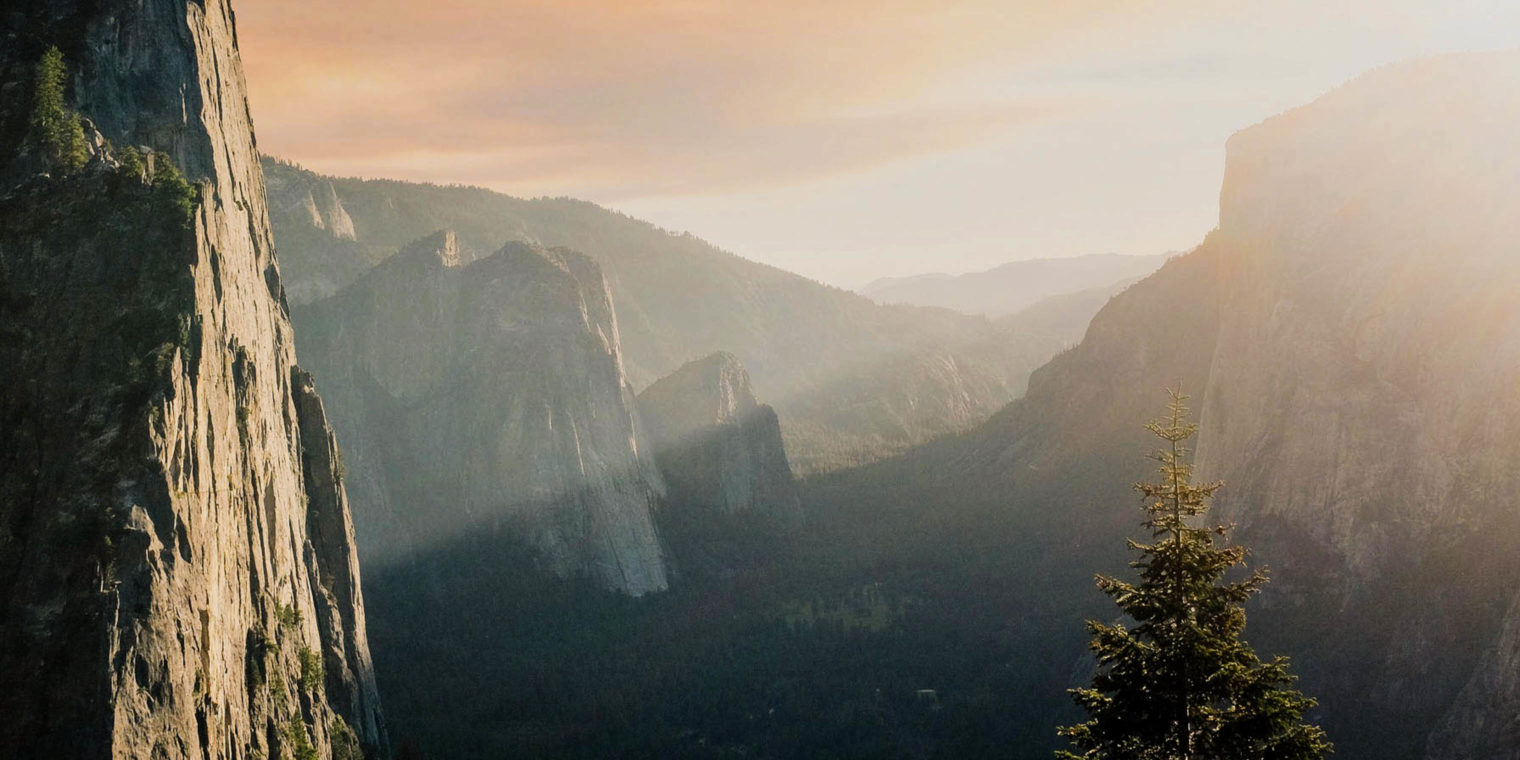 A sunset through cliffs with a tree in the foreground.